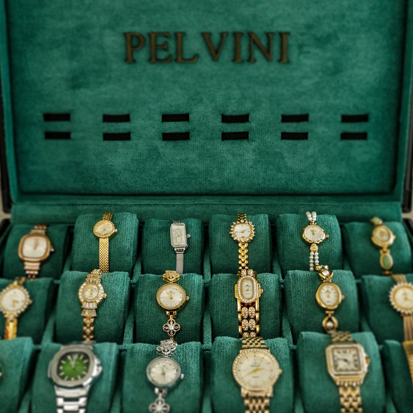 Pelvini® Clara’s Handpicked 18 Beauties