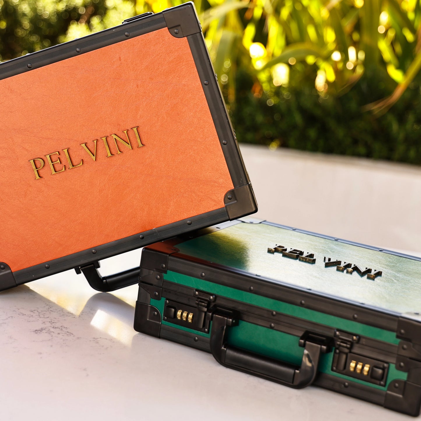 Pelvini® Clara’s Handpicked 18 Beauties