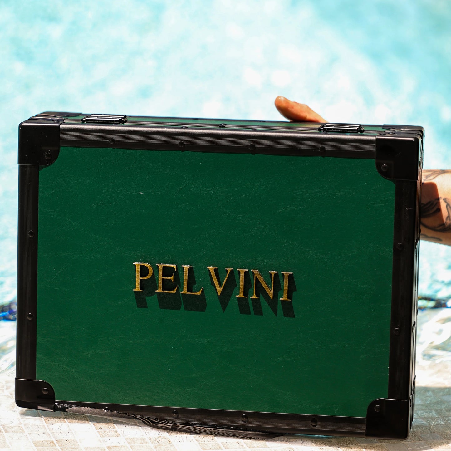 Pelvini® Clara’s Handpicked 18 Beauties
